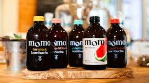 MOMO Kombucha, yeni mevsimsel lezzet için Natoora ile ortaklık kurdu